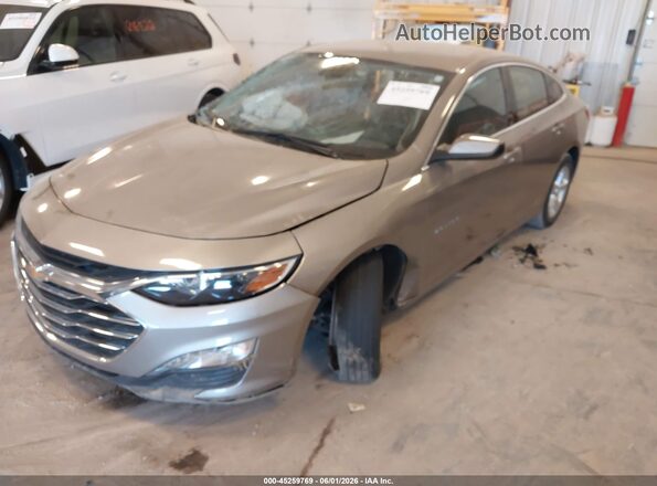 1G1ZD5ST5RF206336 2024 CHEVROLET MALIBU Желто-коричневый Вид спереди