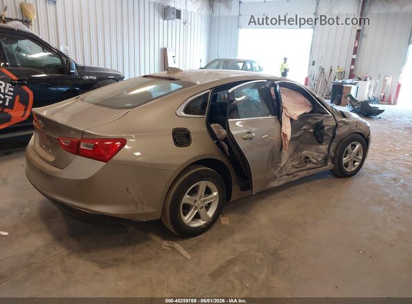 1G1ZD5ST5RF206336 2024 CHEVROLET MALIBU Желто-коричневый Задняя правая четверть