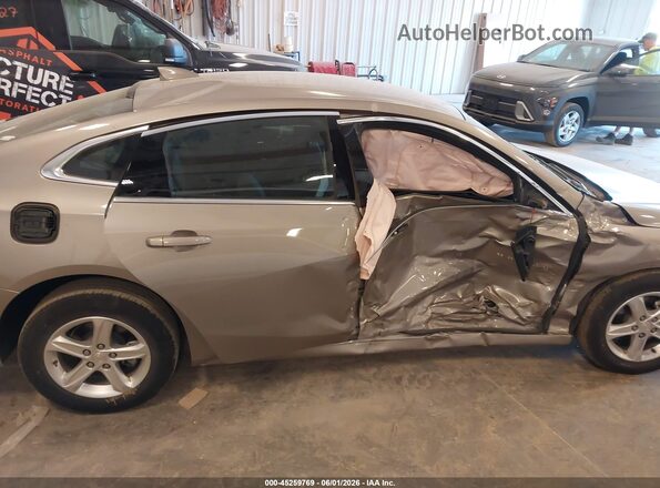 1G1ZD5ST5RF206336 2024 CHEVROLET MALIBU Желто-коричневый Вид задней части салона