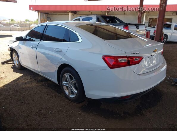 1G1ZD5ST5RF217434 2024 CHEVROLET MALIBU White უკანა მარცხენა