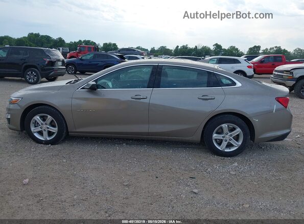 1G1ZD5ST6RF196254 2024 CHEVROLET MALIBU Tan 