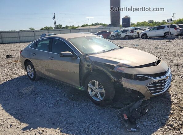 1G1ZD5ST7RF107355 2024 CHEVROLET MALIBU Cream 