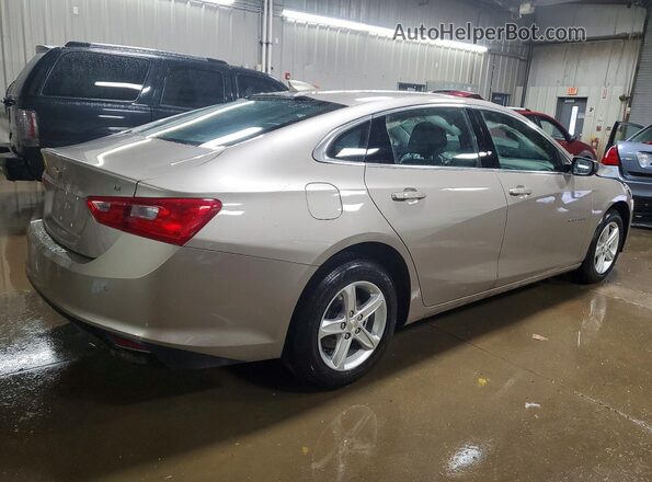 1G1ZD5ST7RF243453 2024 CHEVROLET MALIBU Beige 