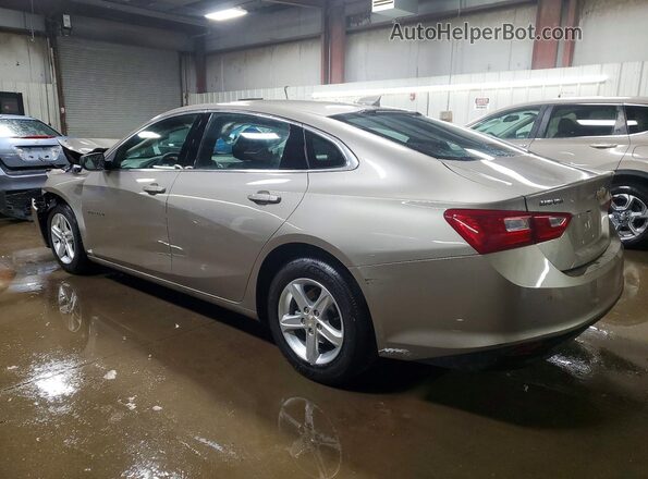 1G1ZD5ST7RF243453 2024 CHEVROLET MALIBU Beige 