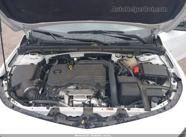 1G1ZD5ST9PF210869 2023 CHEVROLET MALIBU White Widok z tyłu