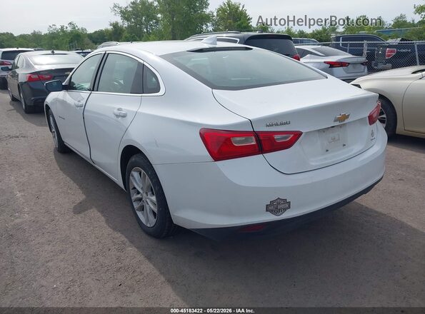 1G1ZE5ST1HF106679 2017 CHEVROLET MALIBU White Rear left