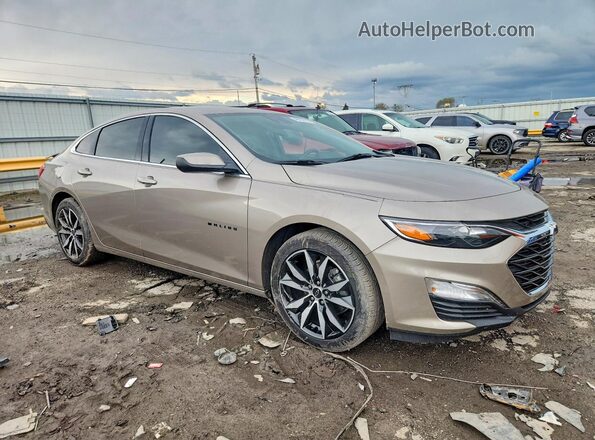 1G1ZG5ST9RF191136 2024 CHEVROLET MALIBU Tan 