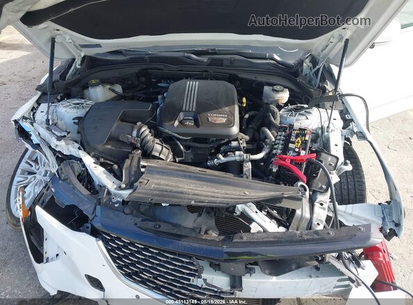 1G6DF5RK0P0130908 2023 CADILLAC CT4 Белый Вид сзади
