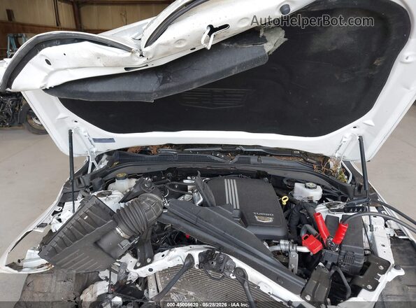 1G6DF5RK8P0103911 2023 CADILLAC CT4 White Вид ззаду