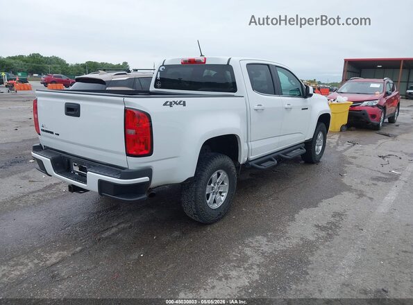 1GCGTBEN6K1229169 2019 CHEVROLET COLORADO White Задня права чверть