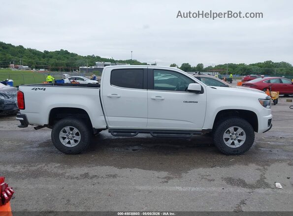 1GCGTBEN6K1229169 2019 CHEVROLET COLORADO White Вид задньої частини салону