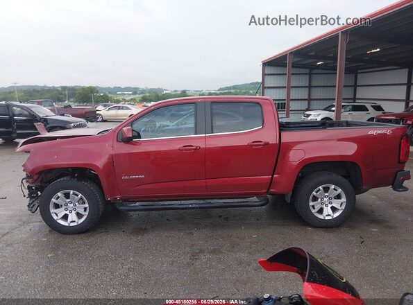 1GCGTCEN0K1280298 2019 CHEVROLET COLORADO Red Widok wnętrza 360 stopni