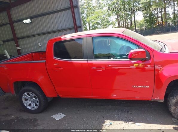 1GCGTCEN8K1106818 2019 CHEVROLET COLORADO Красный Вид задней части салона