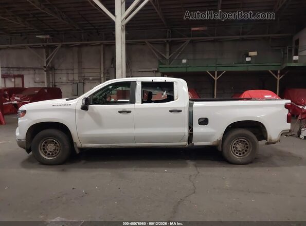 1GCPDAEKXRZ241009 2024 CHEVROLET SILVERADO White 