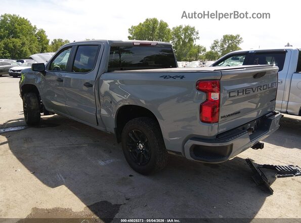 1GCPDBEK6RZ340044 2024 CHEVROLET SILVERADO Gray უკანა მარცხენა