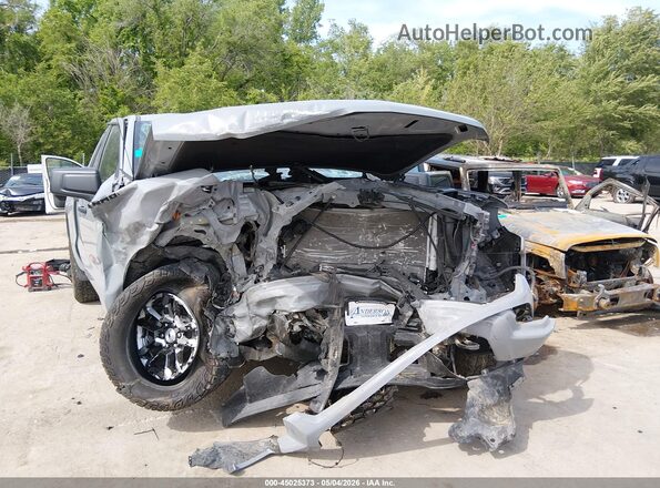 1GCPDBEK6RZ340044 2024 CHEVROLET SILVERADO Gray წინა ხედი