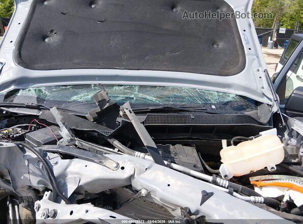 1GCPDBEK6RZ340044 2024 CHEVROLET SILVERADO Gray უკანა ხედი