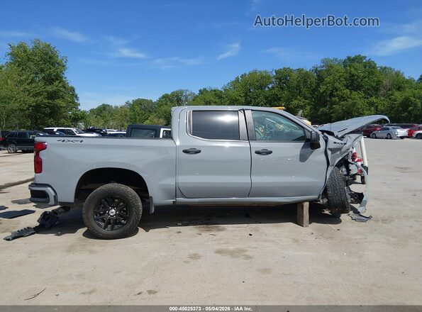 1GCPDBEK6RZ340044 2024 CHEVROLET SILVERADO Gray სალონის 360-გრადუსიანი ხედი