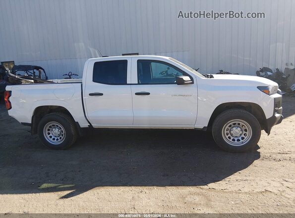 1GCPSBEKXS1111117 2025 CHEVROLET COLORADO Белый Вид сзади