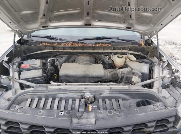1GCPYCEF1MZ290692 2021 CHEVROLET SILVERADO Gray უკანა ხედი