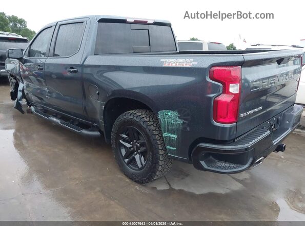 1GCPYFED0KZ257969 2019 CHEVROLET SILVERADO Gray Задня ліва чверть