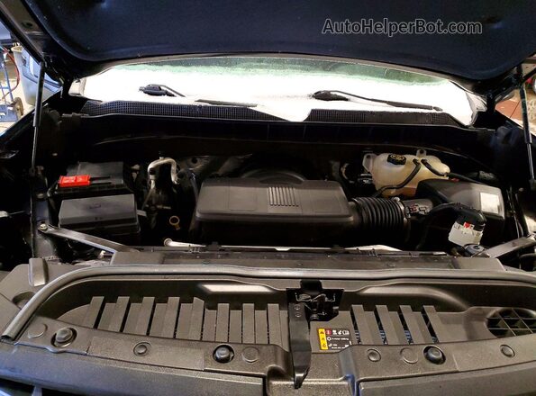 1GCPYFED0LZ299673 2020 CHEVROLET 1500 Черный Вид задней части салона