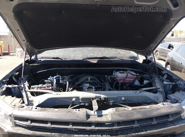 1GCPYFED8LZ313805 2020 CHEVROLET SILVERADO Серый Вид сзади