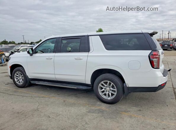 1GNSKCKD9PR212395 2023 CHEVROLET SUBURBAN Белый Задняя левая четверть