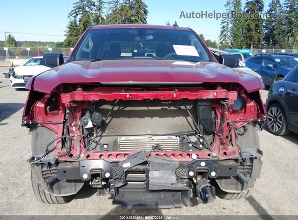 1GTP9CEK1LZ118543 2020 GMC SIERRA Red 