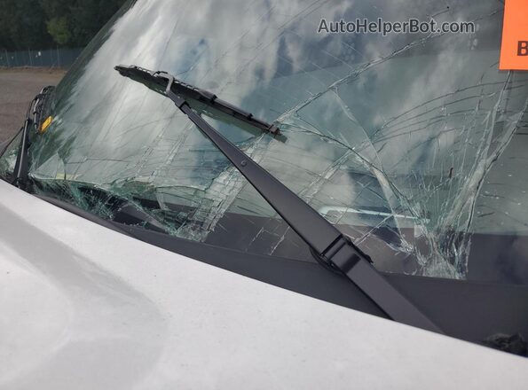 1GTW7AFP9S1218371 2025 GMC SAVANA Белый Панорамный вид салона 360°