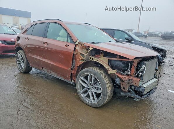1GYFZFR44LF035810 2020 CADILLAC XT4 Brown 