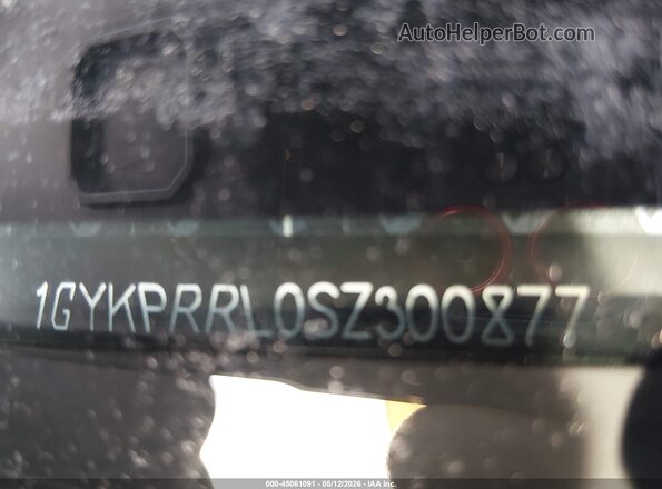 1GYKPRRL0SZ300877 2025 CADILLAC OTHER Gray 