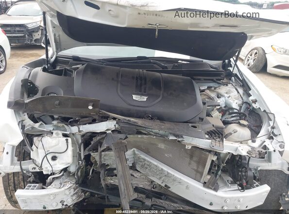 1GYKPWRL6RZ110431 2024 CADILLAC OTHER Белый Вид сзади
