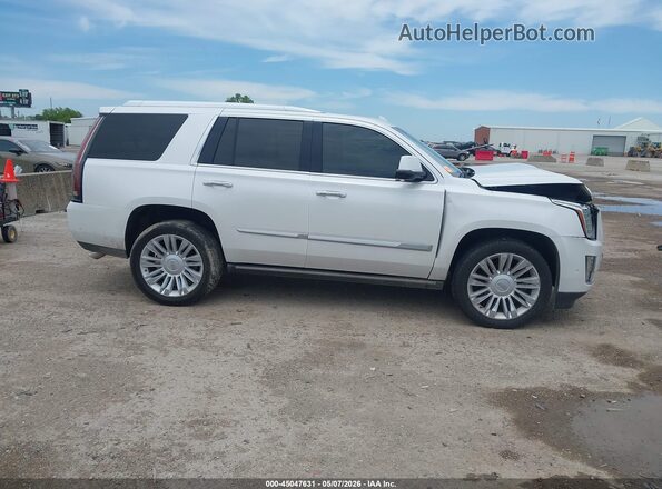 1GYS3DKJ8LR151790 2020 CADILLAC ESCALADE White Սալոնի հետևի տեսք