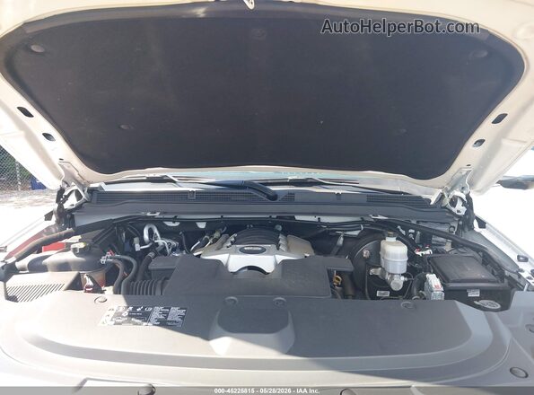 1GYS4BKJ7LR304094 2020 CADILLAC ESCALADE White Widok z tyłu