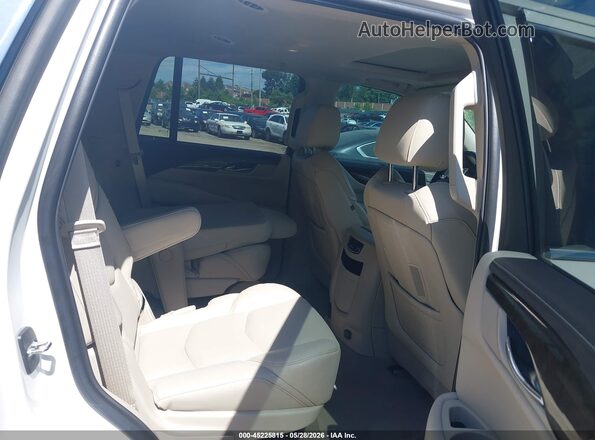 1GYS4BKJ7LR304094 2020 CADILLAC ESCALADE White Widok naklejki z numerem VIN