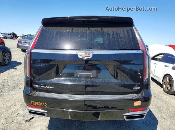 1GYS4BKL3PR346060 2023 CADILLAC ESCALADE Black Widok z tyłu