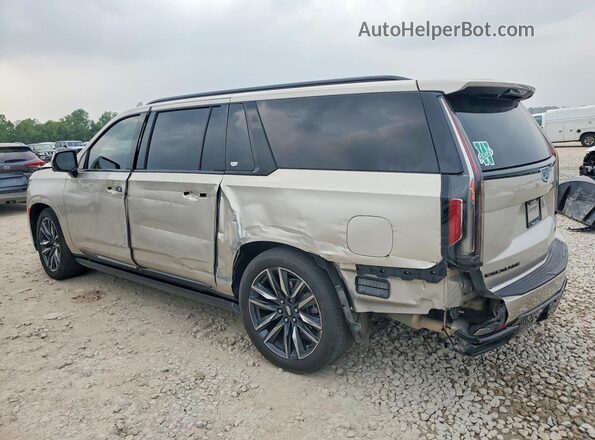 1GYS4RKL8PR454070 2023 CADILLAC ESCALADE Beige Задня ліва чверть