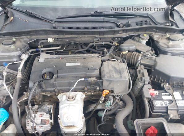 1HGCR2F38HA175507 2017 HONDA ACCORD Gray Vista trasera