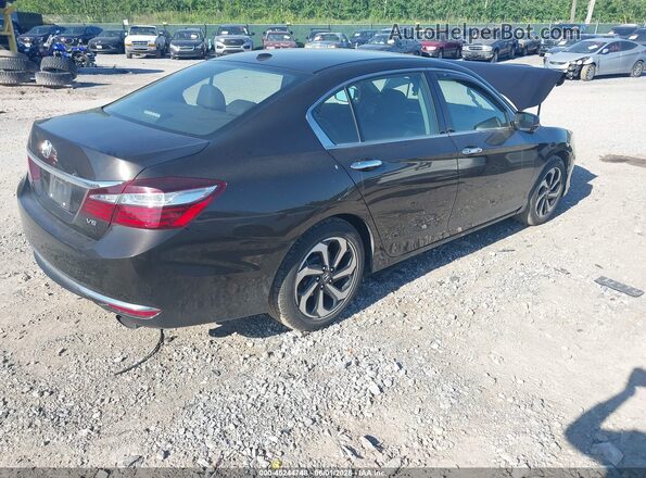 1HGCR3F86HA015238 2017 HONDA ACCORD Brown Trasero derecho