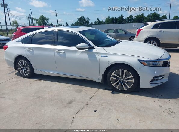 1HGCV3F50KA005703 2019 HONDA ACCORD Белый Вид задней части салона