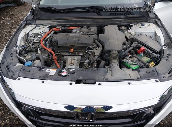 1HGCV3F96KA008950 2019 HONDA ACCORD White უკანა ხედი
