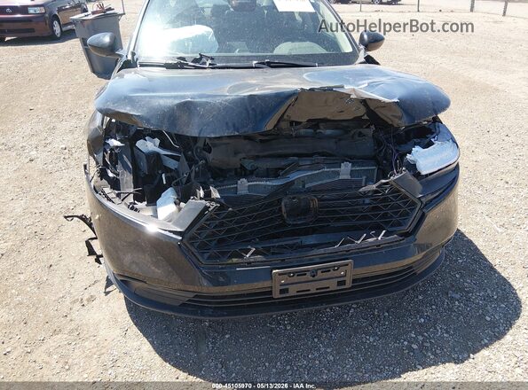 1HGCY1F23RA054096 2024 HONDA ACCORD Black წინა ხედი