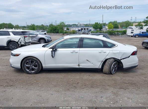 1HGCY1F32RA023477 2024 HONDA ACCORD Белый Вид задней части салона