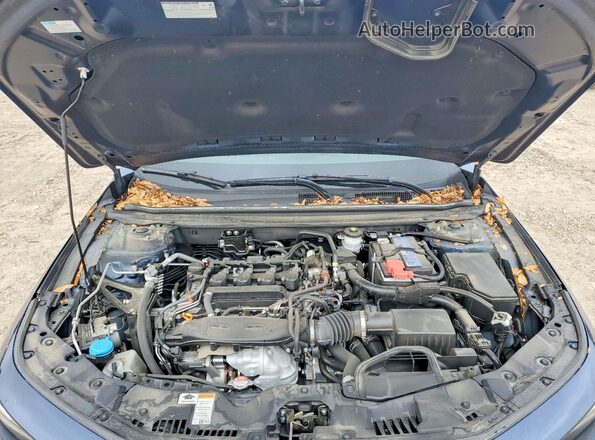 1HGCY1F36RA043246 2024 HONDA ACCORD Синий Вид задней части салона