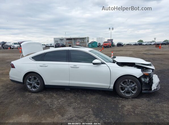 1HGCY1F39RA064205 2024 HONDA ACCORD White Սալոնի հետևի տեսք