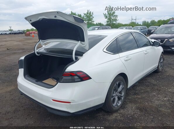 1HGCY1F39RA064205 2024 HONDA ACCORD White Հետևի աջ