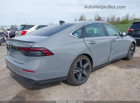 1HGCY2F52RA010641 2024 HONDA ACCORD Gray Задня права чверть