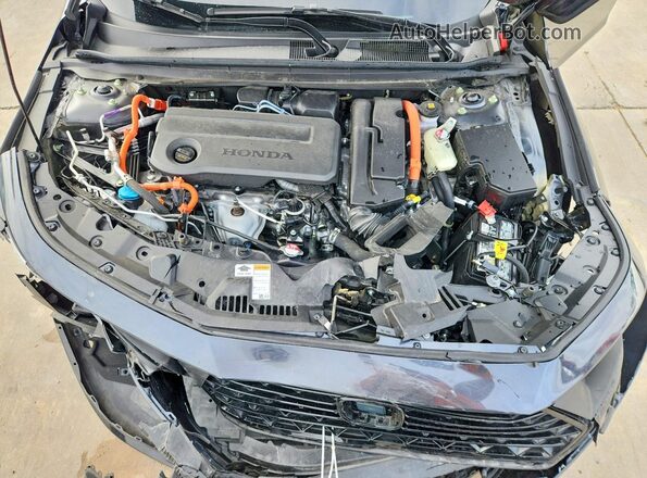 1HGCY2F61RA074100 2024 HONDA ACCORD Черный 