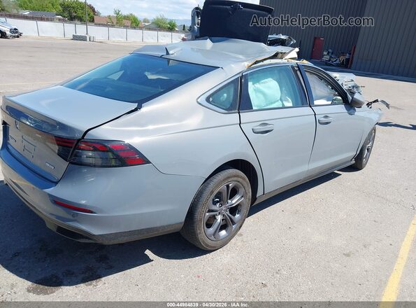 1HGCY2F62RA073036 2024 HONDA ACCORD Gray უკანა მარჯვენა